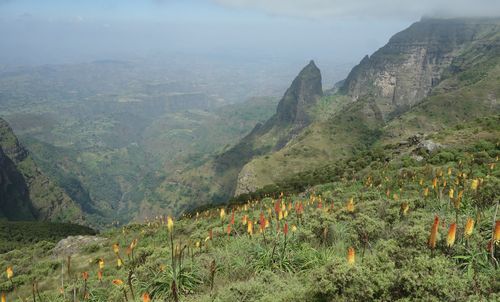 Nkolik foto posteh z akce Etiopie 2017