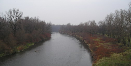 River Odra