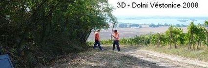 3D reflection seismics, supervising..